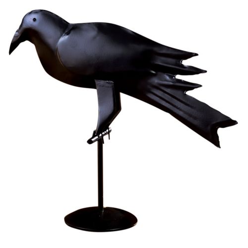 Iron Crow - 13"H